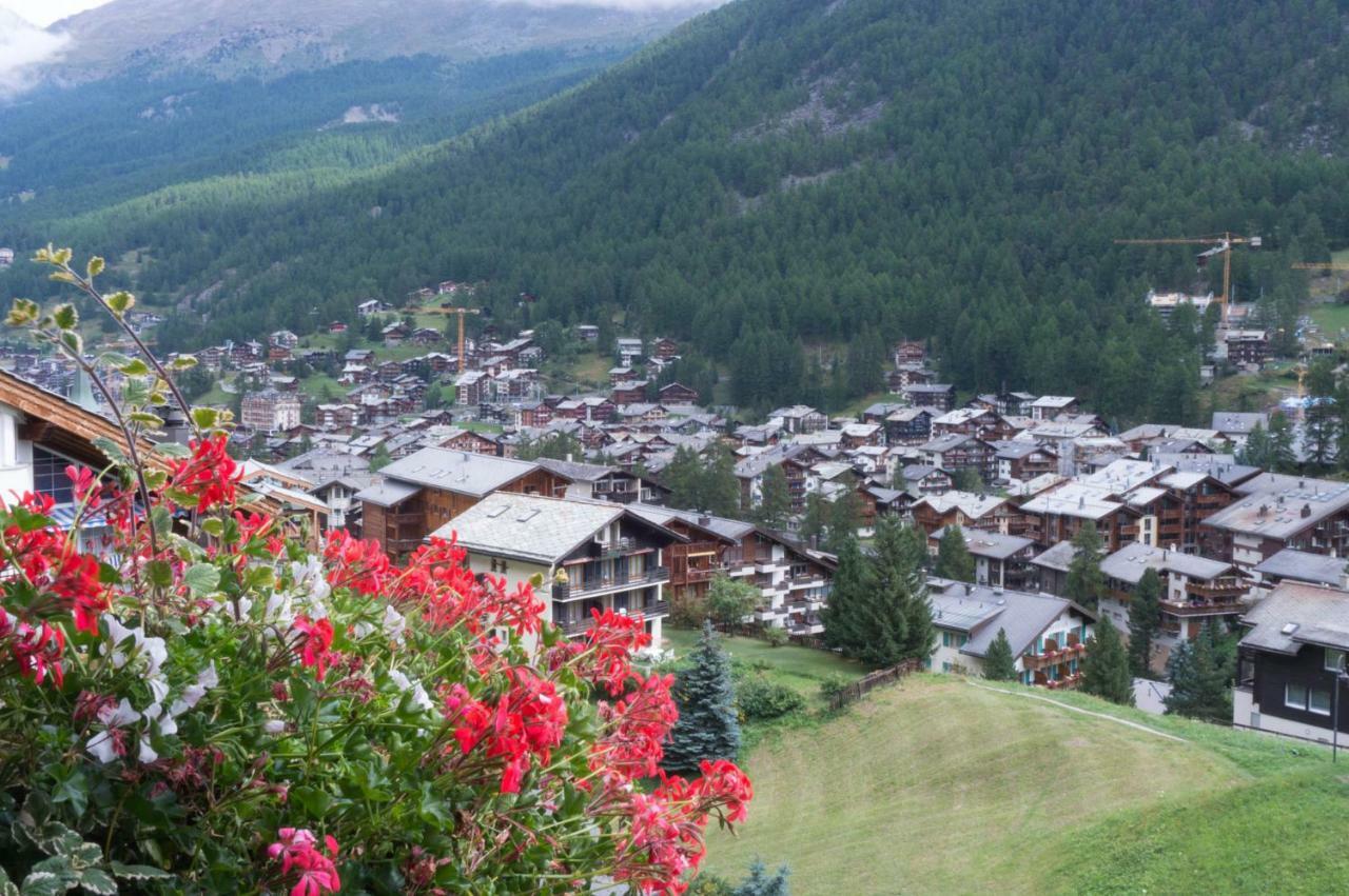 Apartamento Casa Raposa *